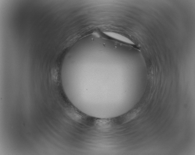 X0000074340139200609230128