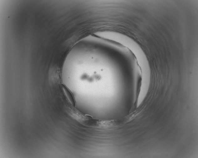 X0000074340141200609230128