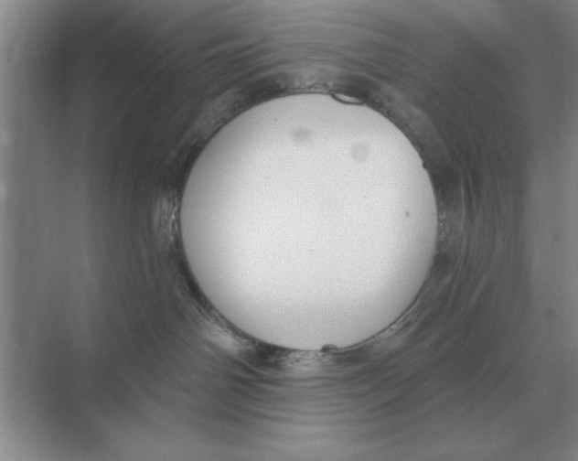 X0000074340142200609230128