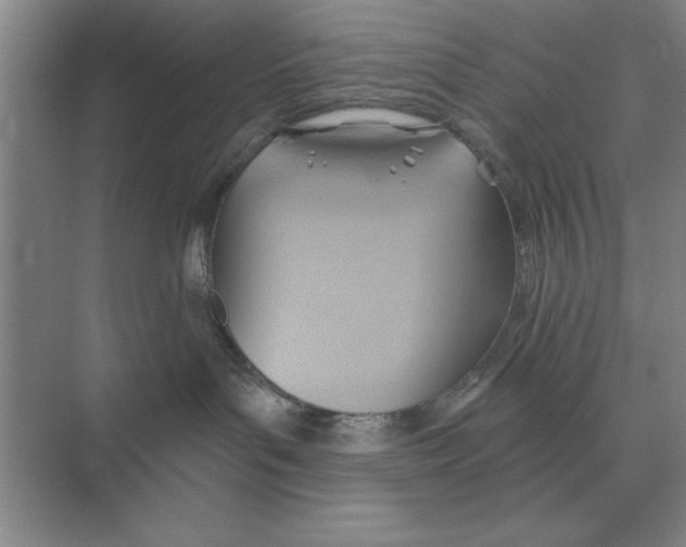 X0000074340143200609230128