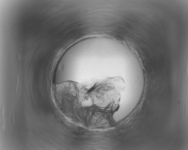 X0000074340145200609230127