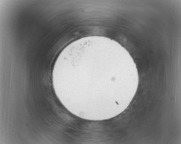 X0000074340146200609230127