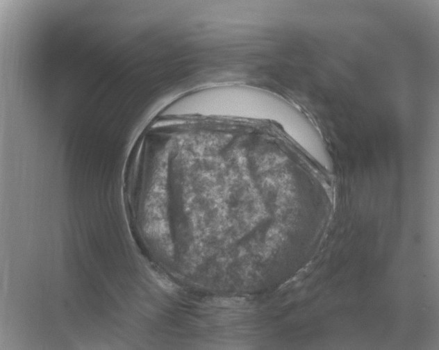 X0000074340147200609230127