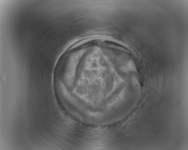 X0000074340148200609230127