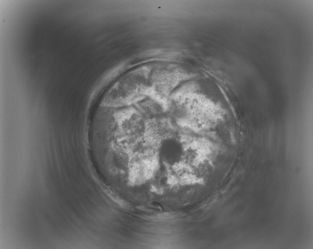 X0000074340149200609230127