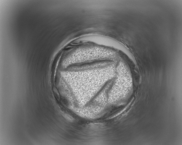 X0000074340150200609230127