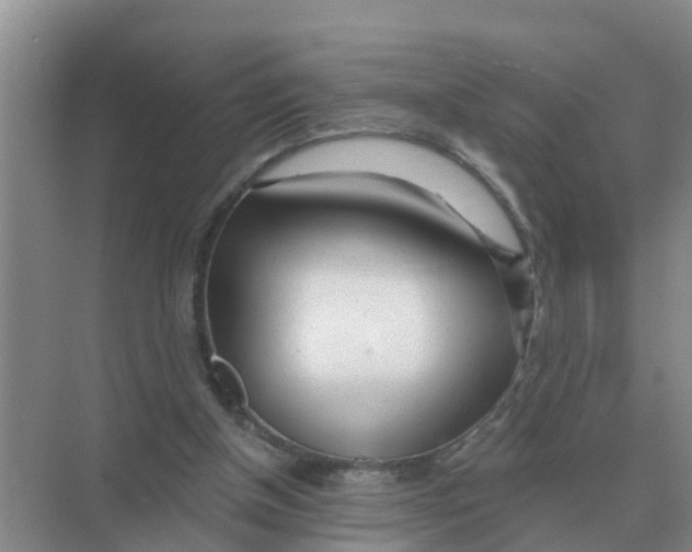 X0000074340154200609230127