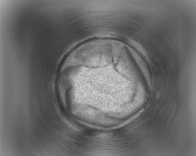 X0000074340155200609230127