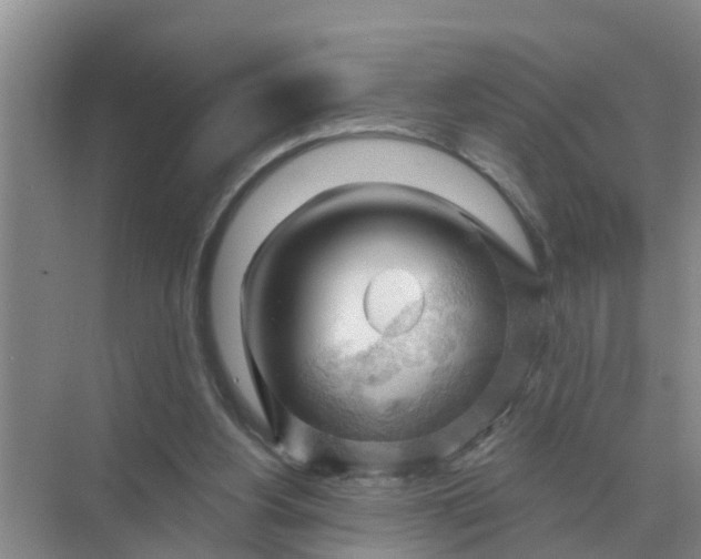 X0000074340156200609230127