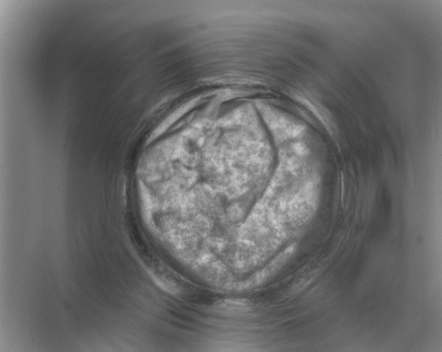 X0000074340157200609230127