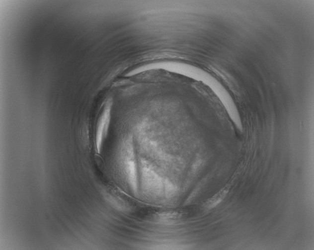 X0000074340158200609230127