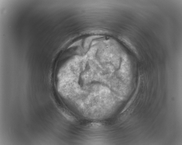 X0000074340159200609230127