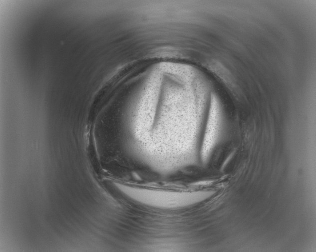 X0000074340160200609230127