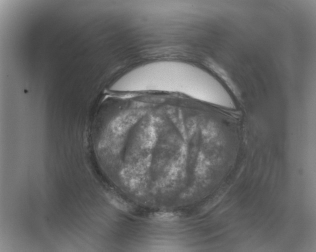 X0000074340161200609230127