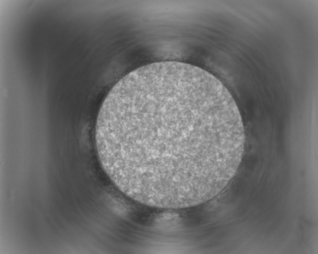 X0000074340162200609230127