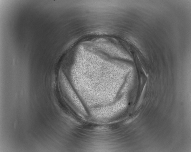 X0000074340164200609230127