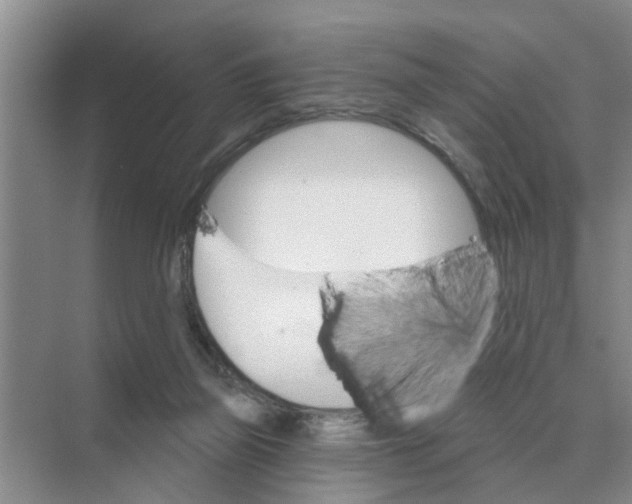 X0000074340165200609230127