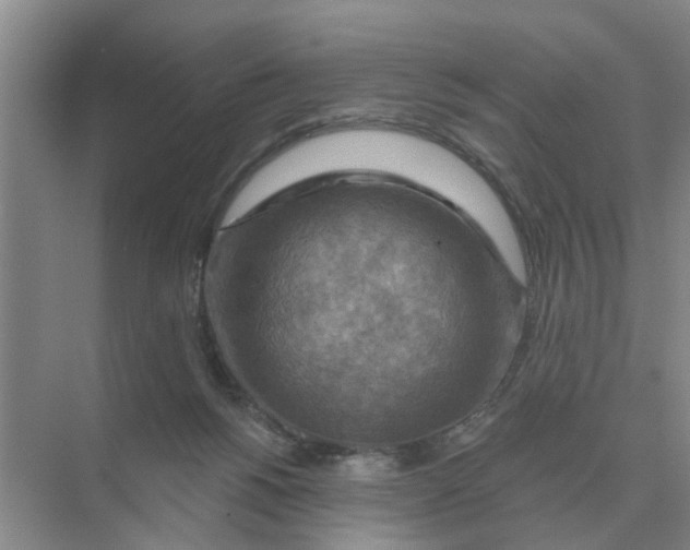 X0000074340168200609230127