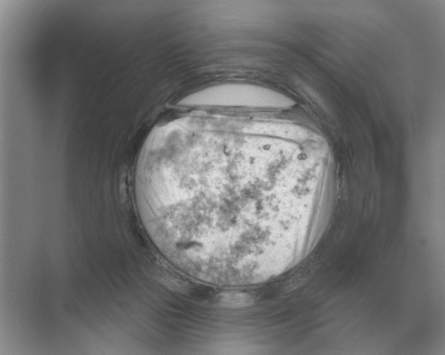 X0000074340169200609230127