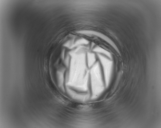 X0000074340170200609230127