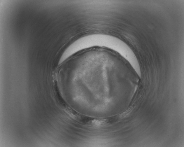 X0000074340172200609230127