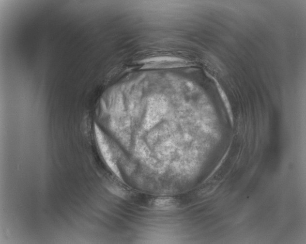 X0000074340173200609230127