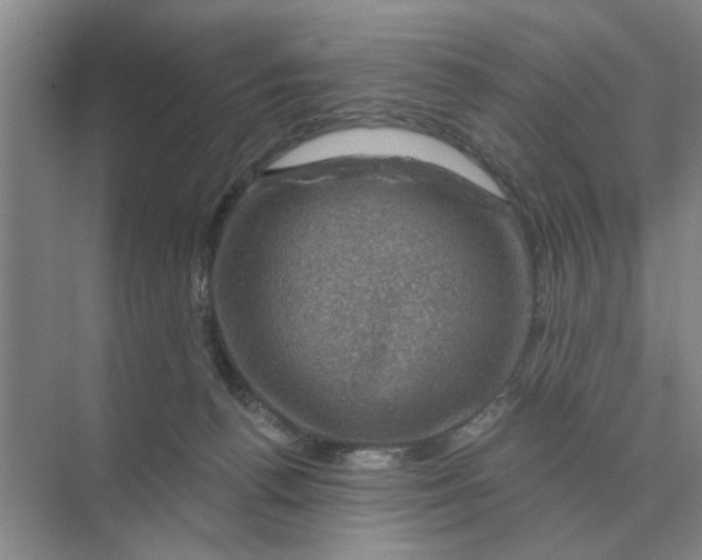 X0000074340176200609230127