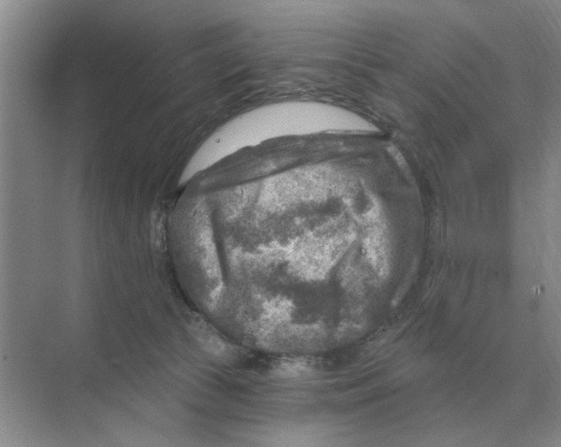 X0000074340177200609230127