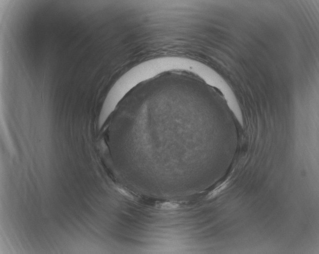 X0000074340180200609230127