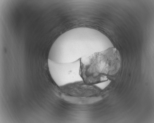 X0000074340181200609230127