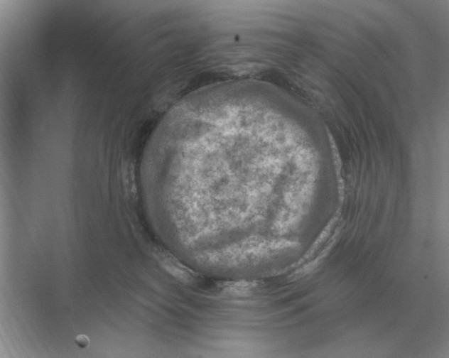 X0000074340182200609230127