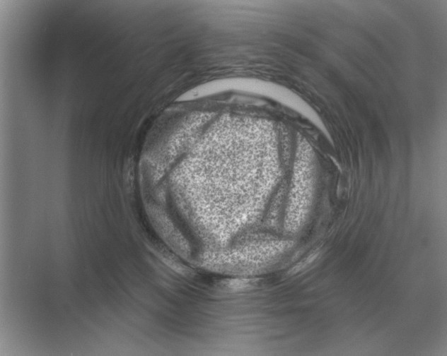 X0000074340184200609230127