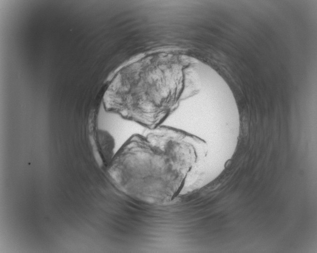 X0000074340185200609230127