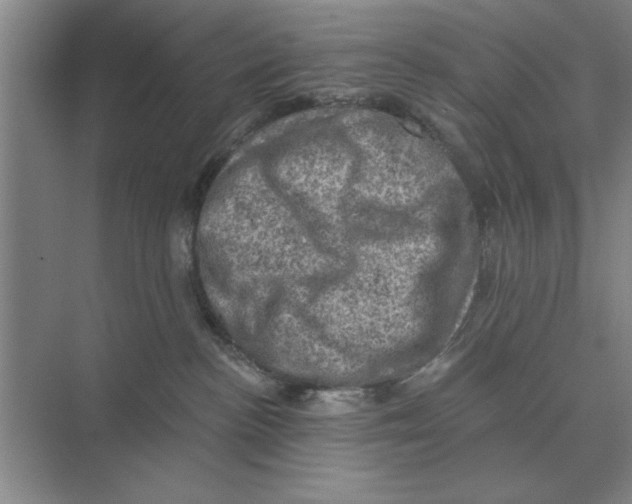 X0000074340188200609230127