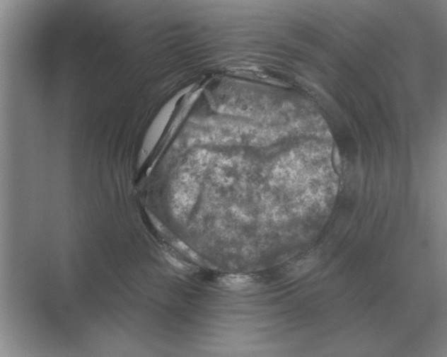 X0000074340189200609230128