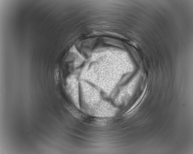 X0000074340190200609230128