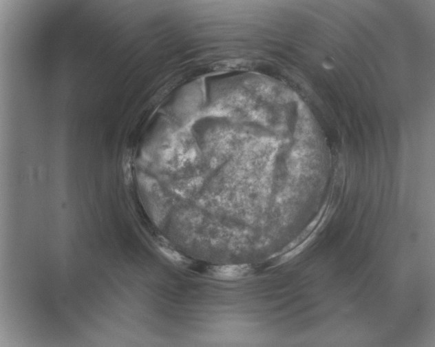 X0000074340191200609230128