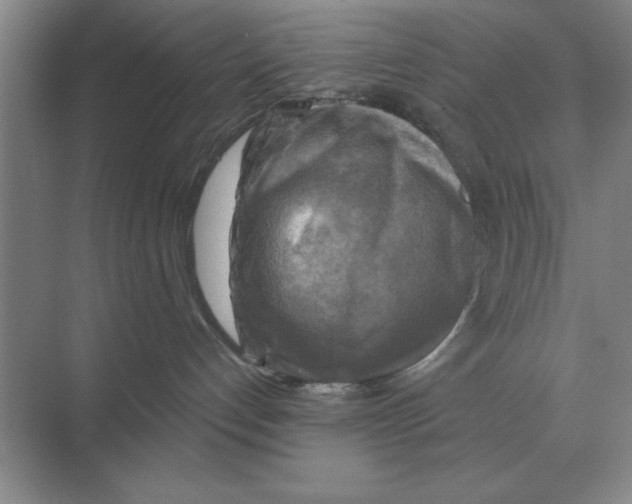 X0000074340192200609230128