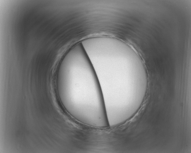 X0000074340193200609230127