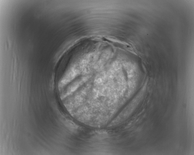 X0000074340194200609230127