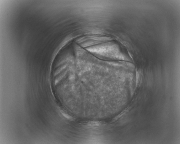 X0000074340195200609230127