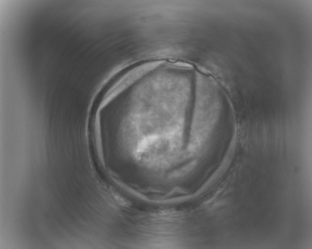 X0000074340196200609230127