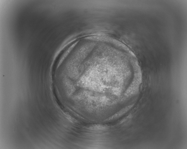 X0000074340198200609230127