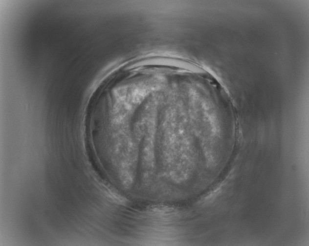 X0000074340199200609230127