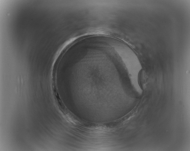 X0000074340200200609230127