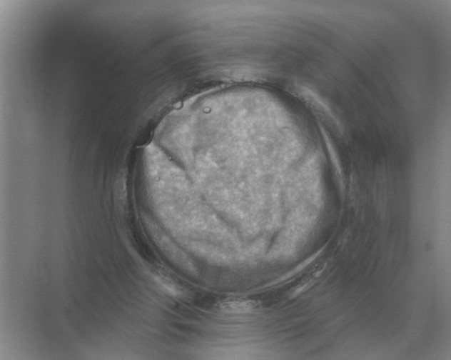 X0000074340202200609230127