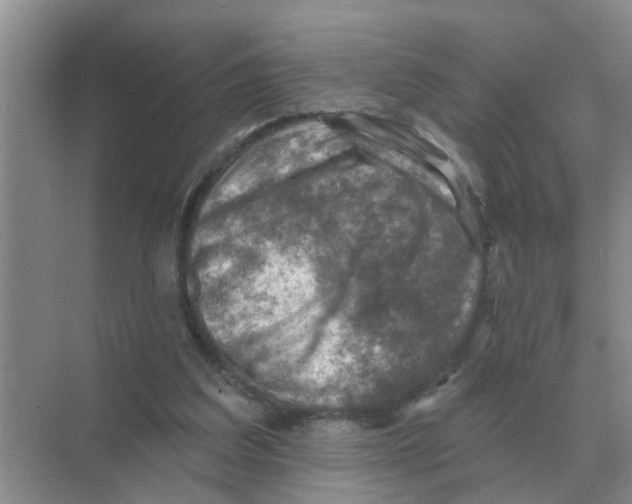 X0000074340203200609230127