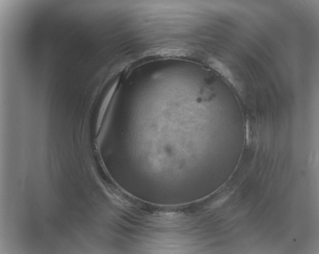 X0000074340205200609230127