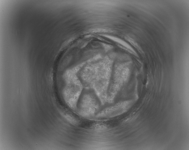 X0000074340207200609230127