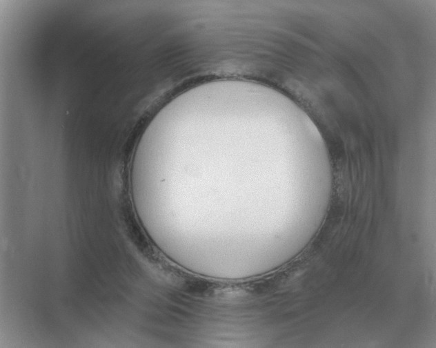 X0000074340208200609230127